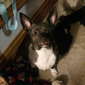 Meet your Posher, Kaylee